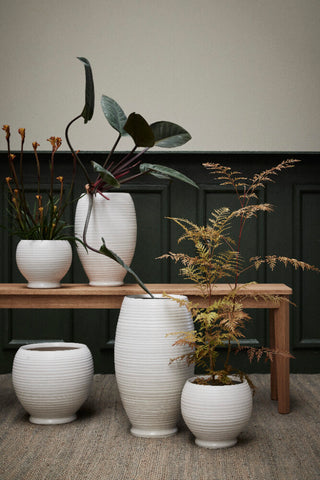 Catharinia skjuler H20 cm. off white