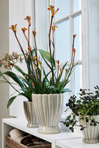 Shenella urtepotteskjuler H12 cm. sand